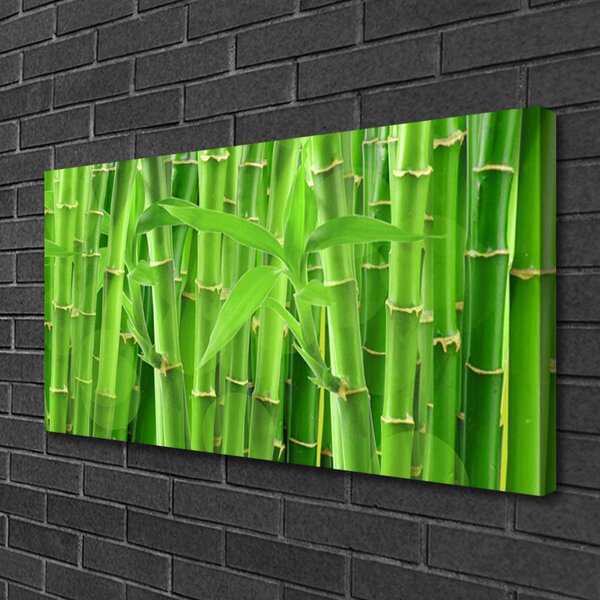 Quadro su tela Stelo della pianta del fiore di bambù 100x50 cm