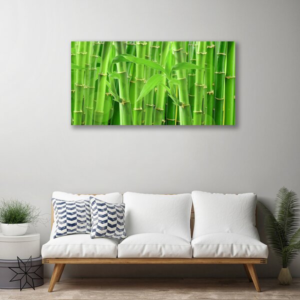 Quadro su tela Stelo della pianta del fiore di bambù 100x50 cm