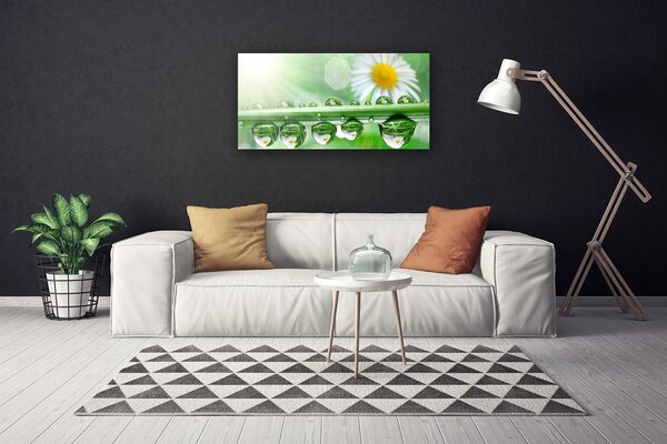 Quadro su tela Natura Rugiada Foglia di margherita 100x50 cm