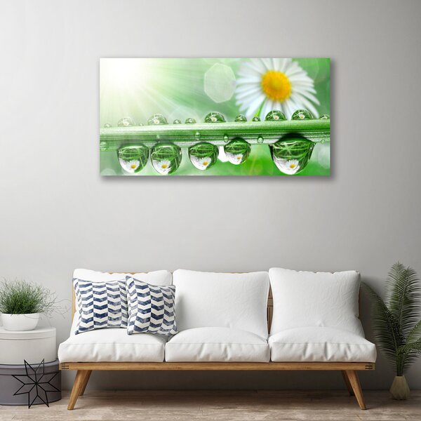 Quadro su tela Natura Rugiada Foglia di margherita 100x50 cm