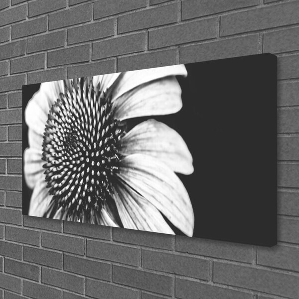Quadro su tela Fiore, pianta, natura 100x50 cm