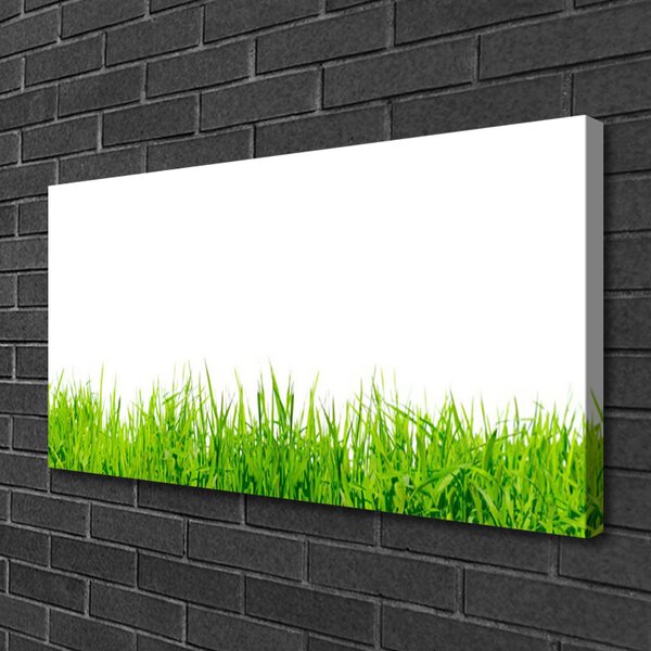 Quadro su tela Erba Natura Pianta 100x50 cm