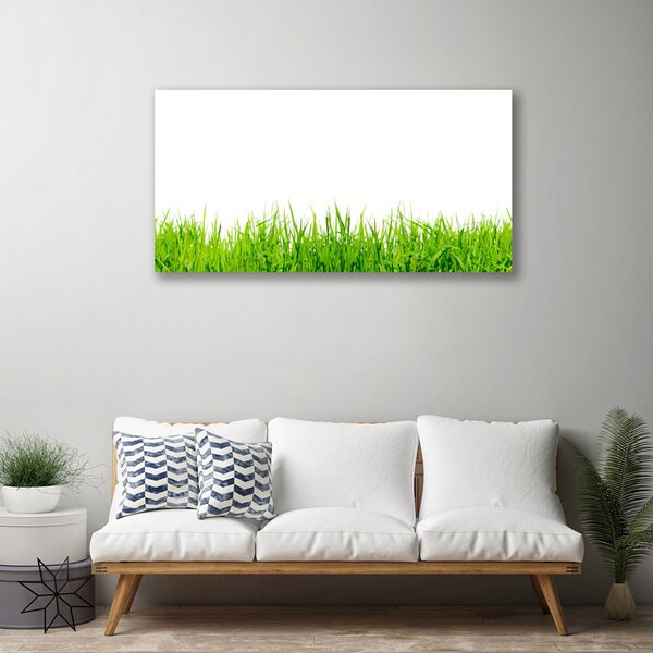 Quadro su tela Erba Natura Pianta 100x50 cm