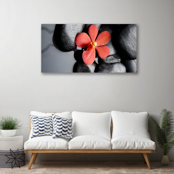 Quadro su tela Pietre di fiori Art 100x50 cm