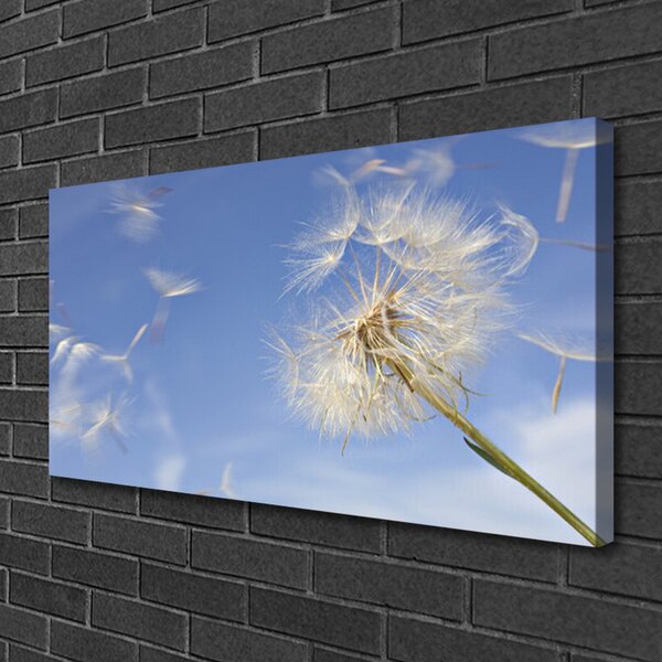 Quadro su tela Pianta di tarassaco 100x50 cm