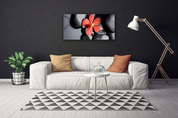 Quadro su tela Pietre di fiori Art 100x50 cm