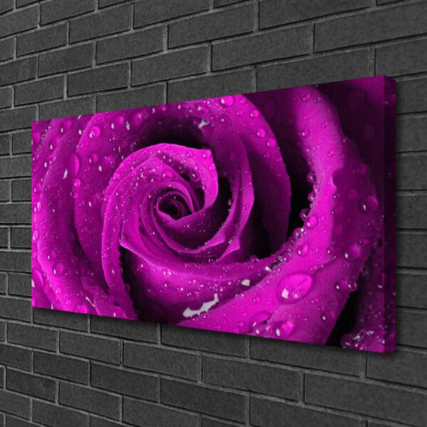 Quadro su tela Natura della pianta del fiore della rosa 100x50 cm