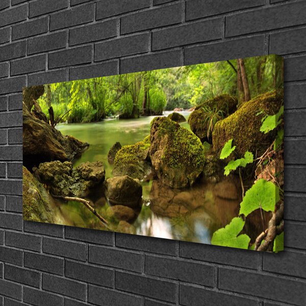Quadro su tela Natura del lago di roccia 100x50 cm