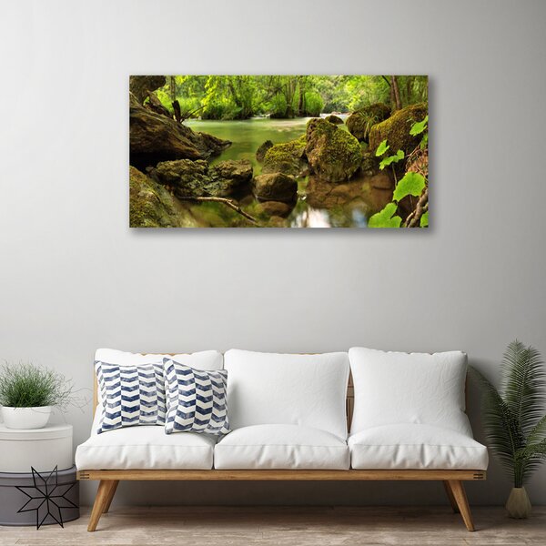 Quadro su tela Natura del lago di roccia 100x50 cm