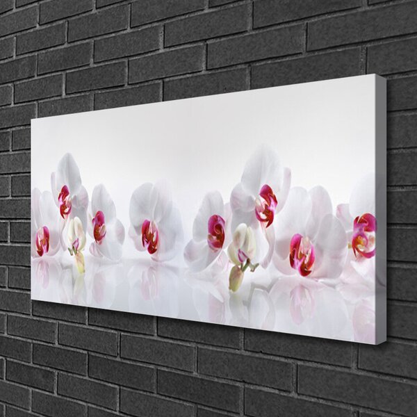 Stampa quadro su tela Fiori, piante, natura 100x50 cm