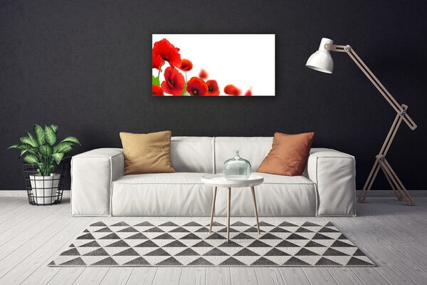 Quadro su tela Papaveri rossi della natura 100x50 cm