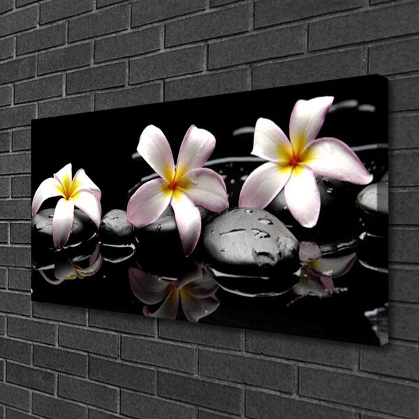 Foto quadro su tela Pianta di pietre di fiori 100x50 cm