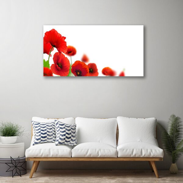 Quadro su tela Papaveri rossi della natura 100x50 cm