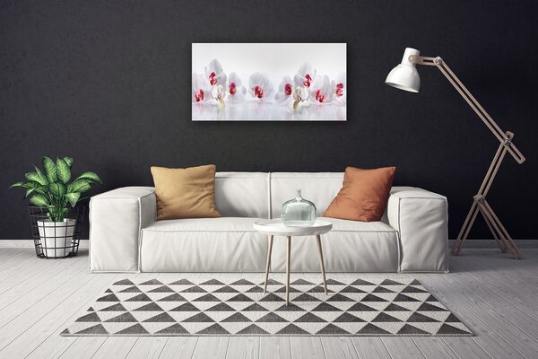 Stampa quadro su tela Fiori, piante, natura 100x50 cm