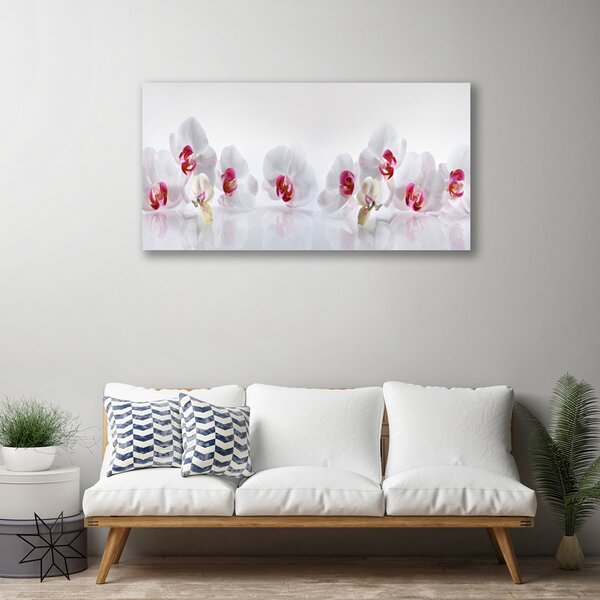 Stampa quadro su tela Fiori, piante, natura 100x50 cm