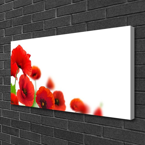 Quadro su tela Papaveri rossi della natura 100x50 cm