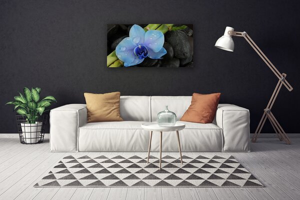 Quadro su tela Pianta di pietre di fiori 100x50 cm