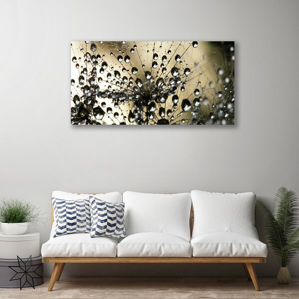 Foto quadro su tela Pianta di tarassaco 100x50 cm
