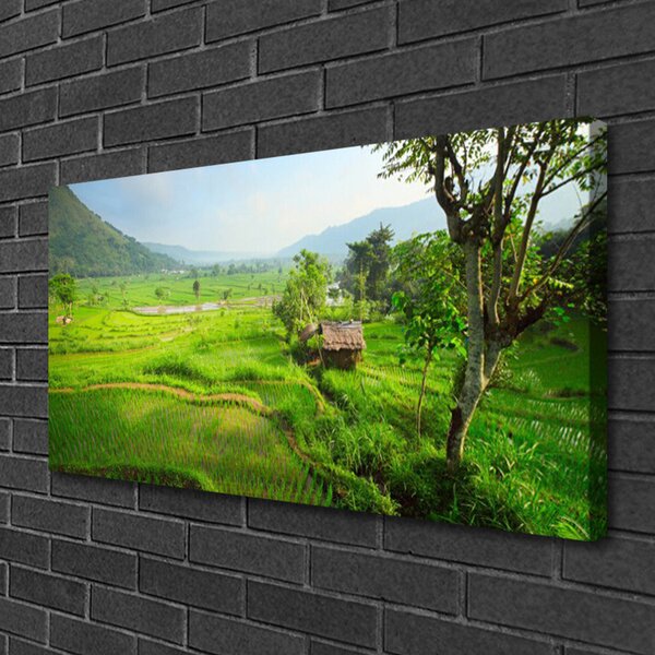 Quadro su tela Prato Natura 100x50 cm