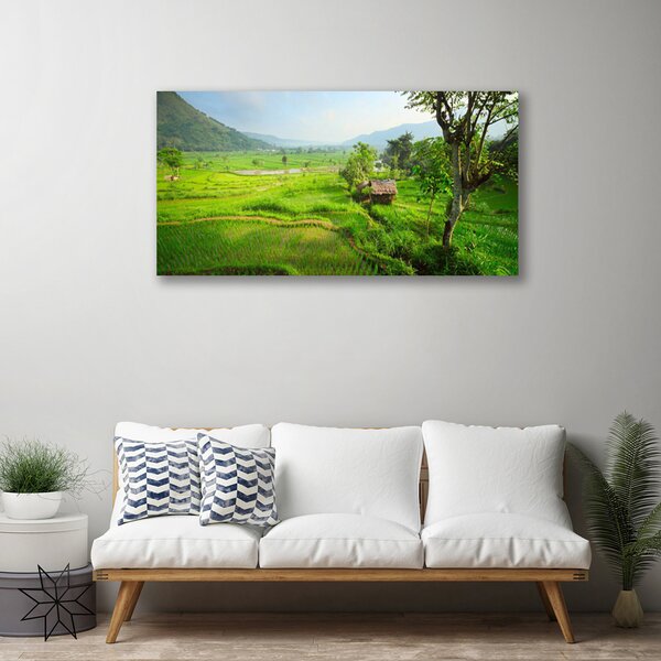 Quadro su tela Prato Natura 100x50 cm