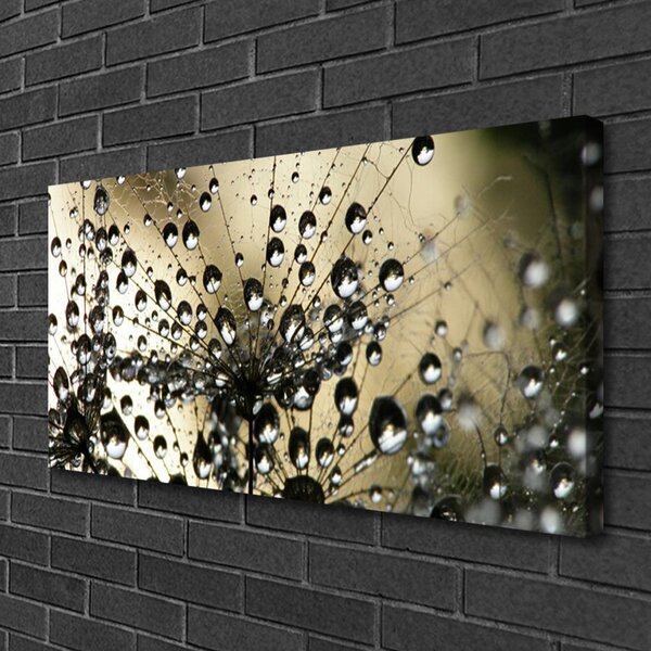 Foto quadro su tela Pianta di tarassaco 100x50 cm