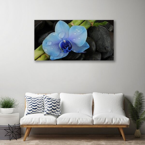 Quadro su tela Pianta di pietre di fiori 100x50 cm