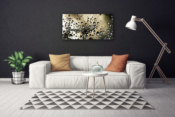 Foto quadro su tela Pianta di tarassaco 100x50 cm