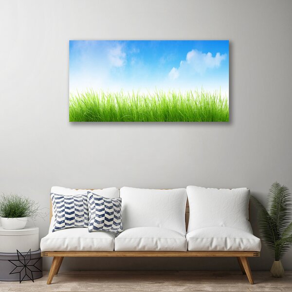 Quadro su tela Erba Natura Pianta 100x50 cm