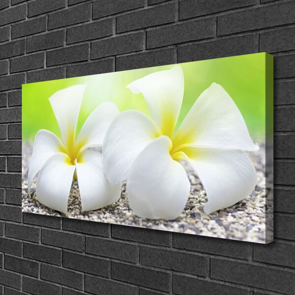 Quadro su tela Fiori, piante, natura 100x50 cm