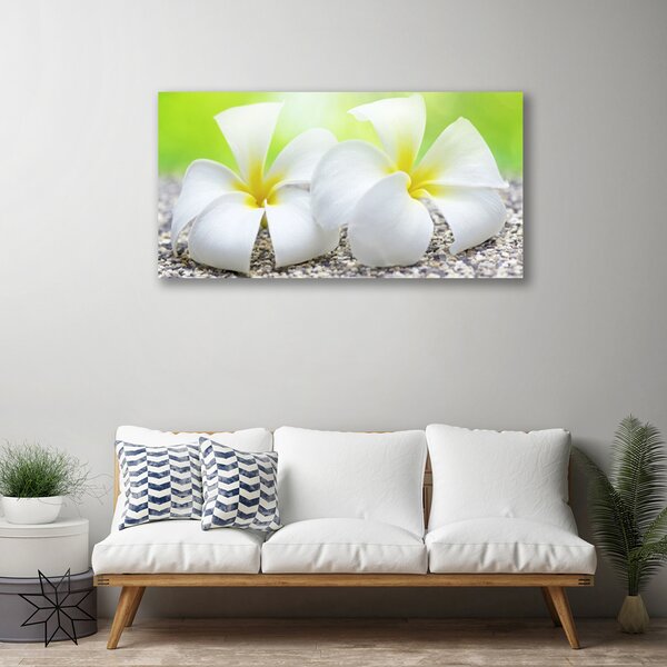 Quadro su tela Fiori, piante, natura 100x50 cm