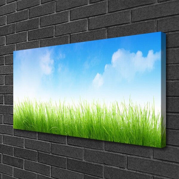 Quadro su tela Erba Natura Pianta 100x50 cm