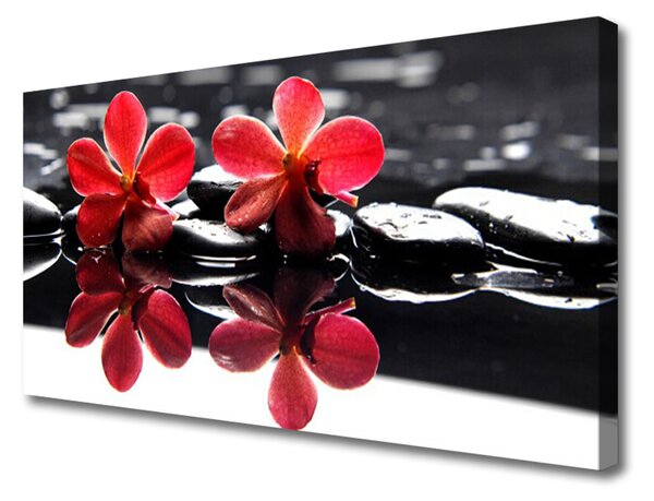Quadro stampa su tela Pianta di pietre di fiori 100x50 cm