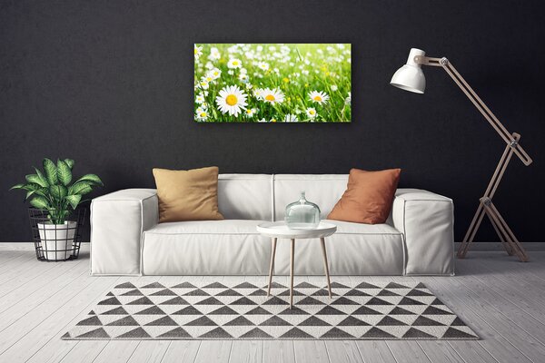 Quadro stampa su tela Pianta di fiori di margherita 100x50 cm