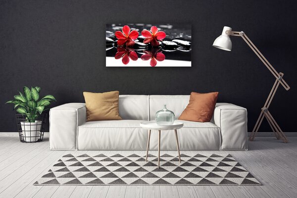 Quadro stampa su tela Pianta di pietre di fiori 100x50 cm