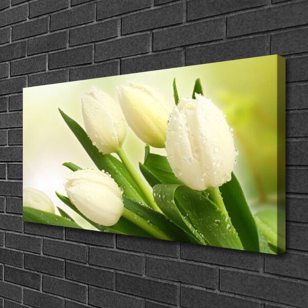 Quadro su tela Tulipani, fiori, piante 100x50 cm