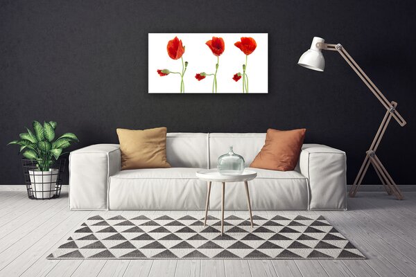 Stampa quadro su tela Natura, papaveri, piante 100x50 cm
