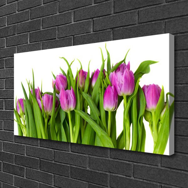 Quadro su tela Tulipani, fiori, piante 100x50 cm