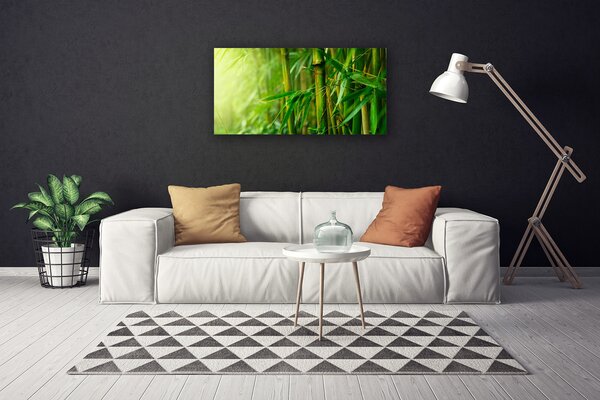 Quadro su tela Steli di piante di bambù 100x50 cm