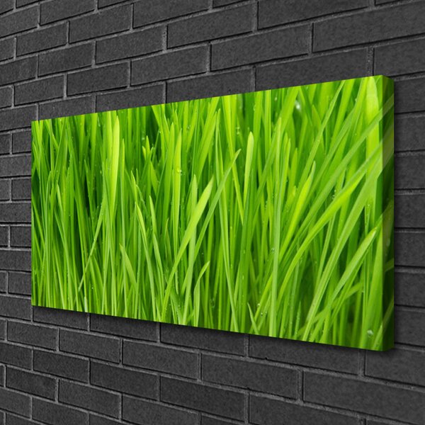 Stampa quadro su tela Erba, piante, natura 100x50 cm