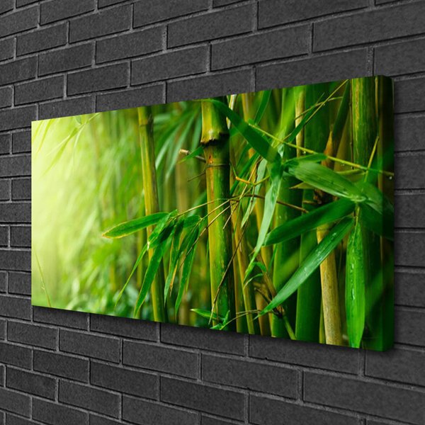 Quadro su tela Steli di piante di bambù 100x50 cm