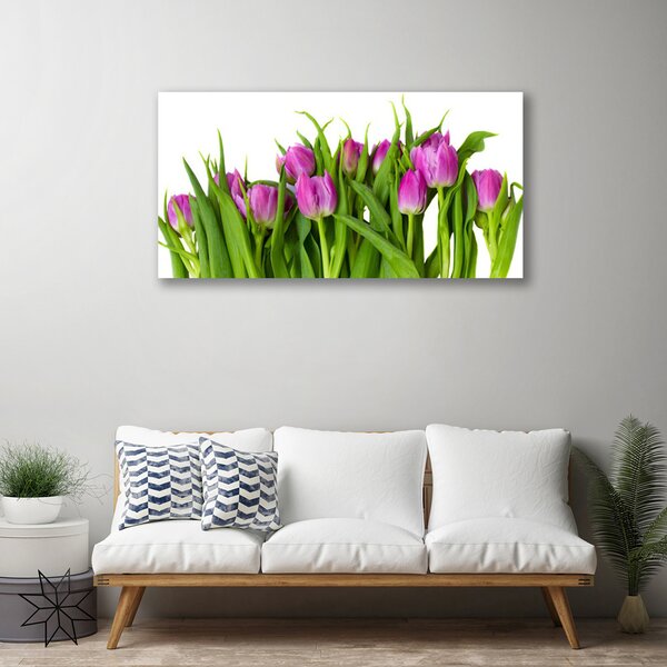 Quadro su tela Tulipani, fiori, piante 100x50 cm