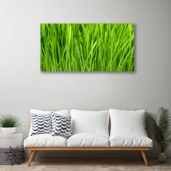 Stampa quadro su tela Erba, piante, natura 100x50 cm