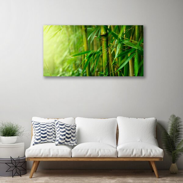 Quadro su tela Steli di piante di bambù 100x50 cm