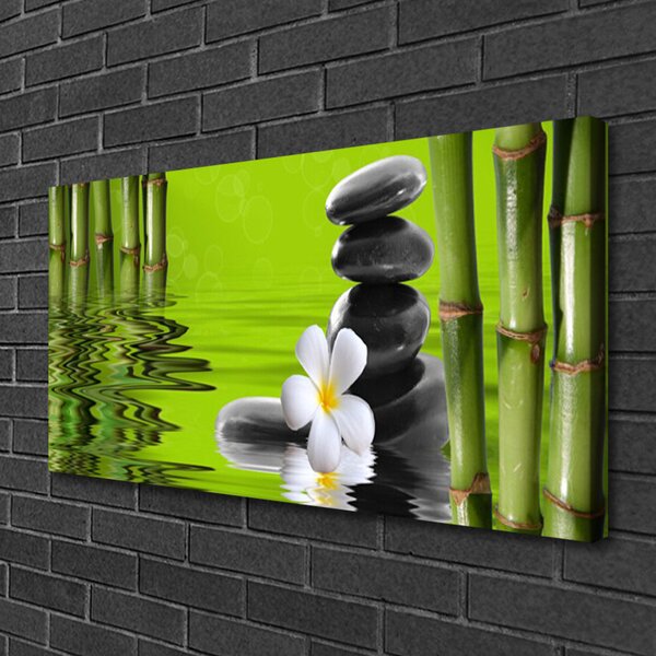 Quadro su tela Pietre di bambù Pianta 100x50 cm