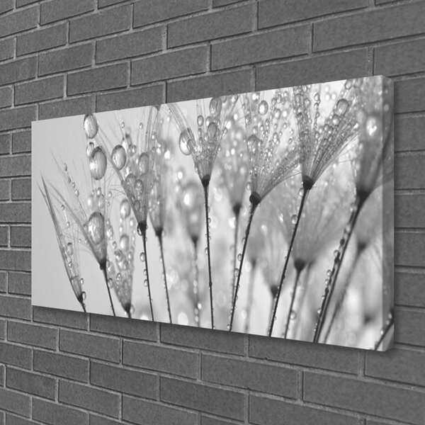 Quadro su tela Pianta di tarassaco 100x50 cm
