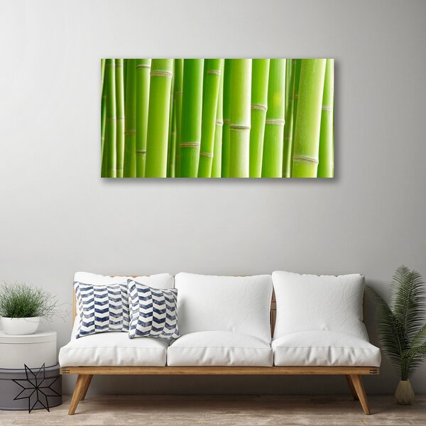 Quadro su tela Stelo della pianta del fiore di bambù 100x50 cm