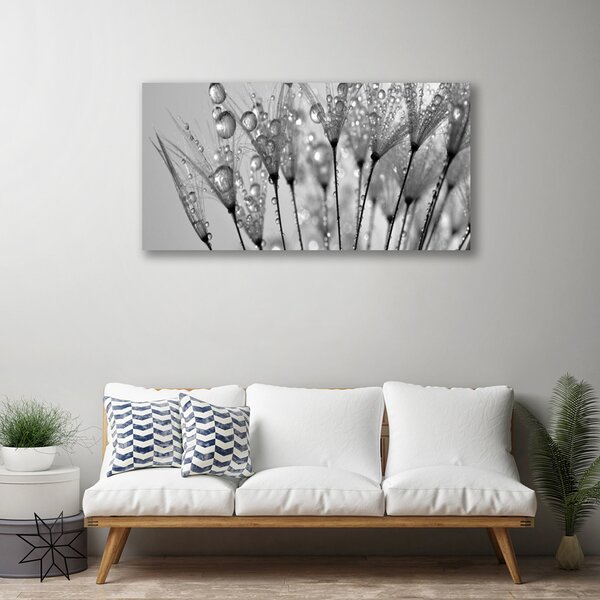 Quadro su tela Pianta di tarassaco 100x50 cm