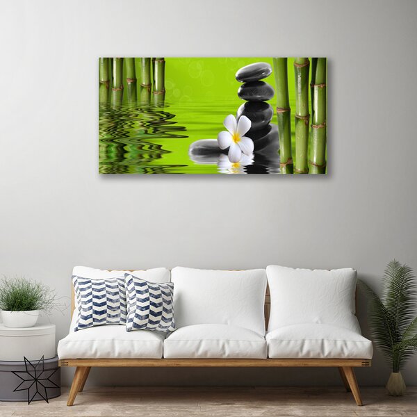 Quadro su tela Pietre di bambù Pianta 100x50 cm