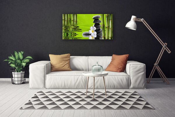 Quadro su tela Pietre di bambù Pianta 100x50 cm