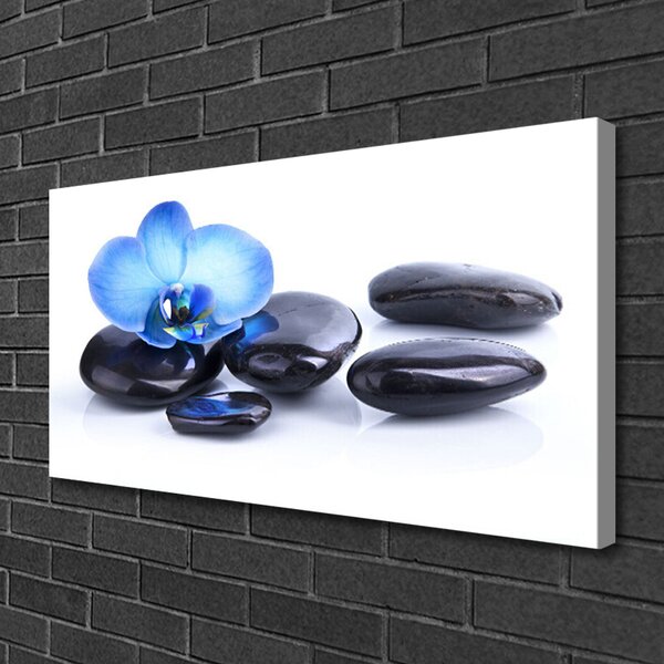 Foto quadro su tela Pietre di fiori Art 100x50 cm